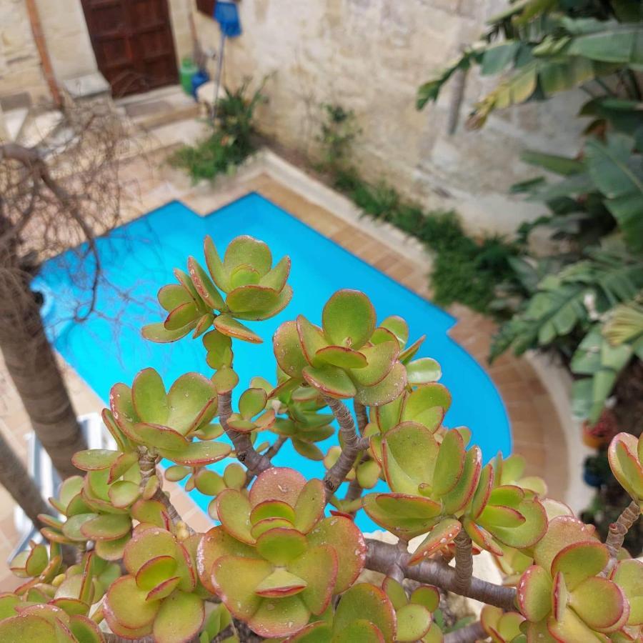 Haven Farmhouse B&B Għarb Exteriér fotografie